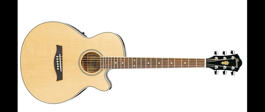 ギター Ibanez AEG8E Open Box Ibanez AEG8E Cutaway Acoustic-Electric Guitar Gloss